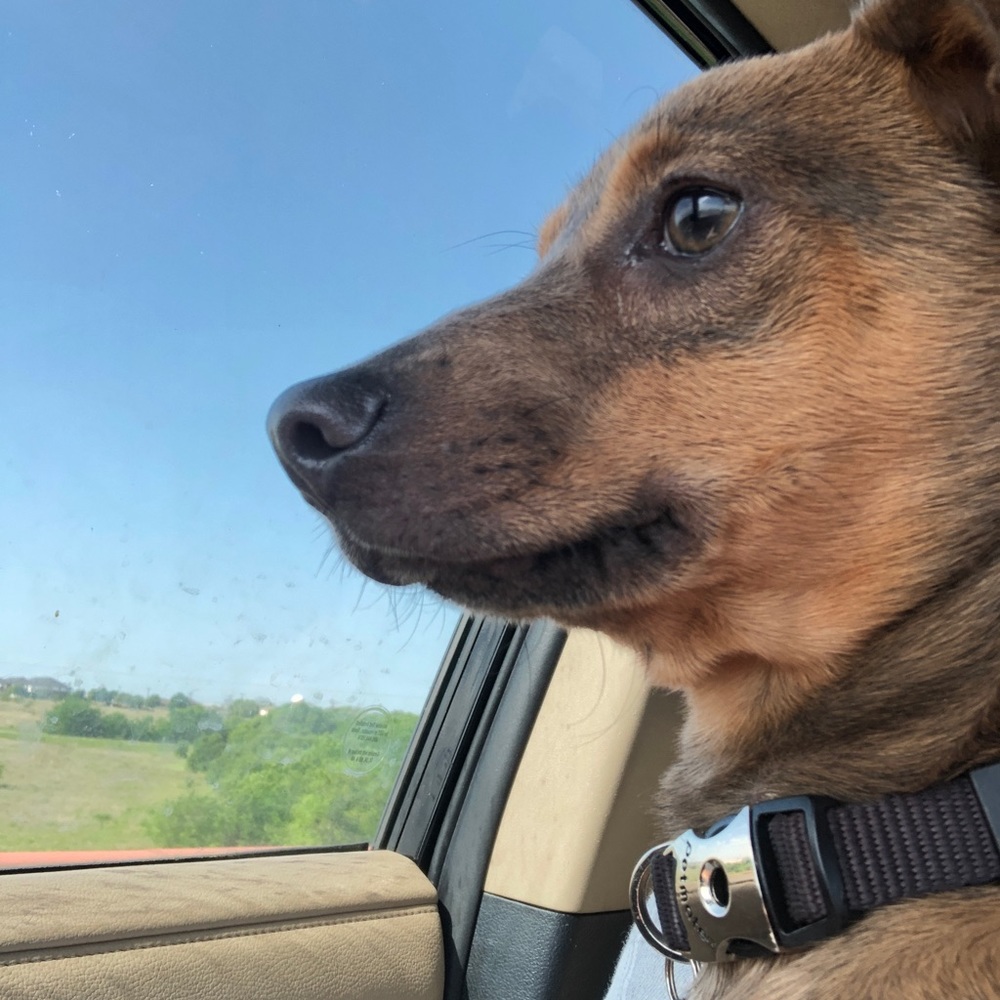 Meet your Posher, Meredith